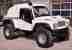 Tomcat Offroad Geländewagen 3.9L – Kein Jeep Land Rover Cruiser Buggy