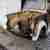 Trabant 601 Karosse
