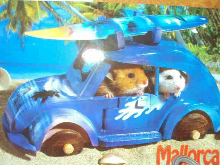 VW Golf 4, mit Motor 1,4L 16V, Baujahr 1999, dunkelgrün, TÜV bis 11/2020