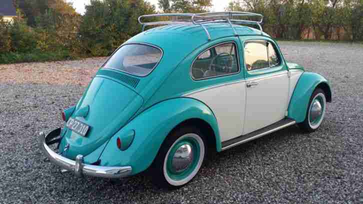 VW Käfer 113
