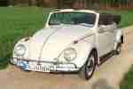 VW Käfer BUG Kabriolett Karmann Cabrio BJ 1958 TÜV 2017