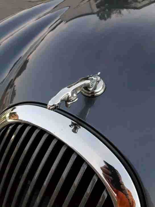 Viel Luxus für wenig Geld Schöner Jaguar