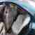 Volvo S 60