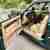 Youngtimer ROVER 827