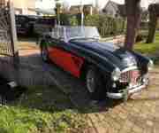 Austin healey