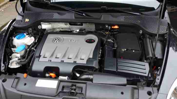 beetle - fender edition