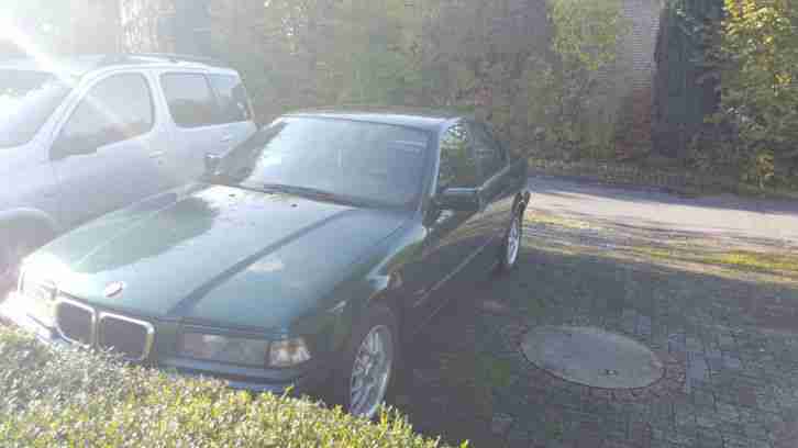 bmw 316i limousine