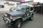 fahrzeug jeep wrangler1