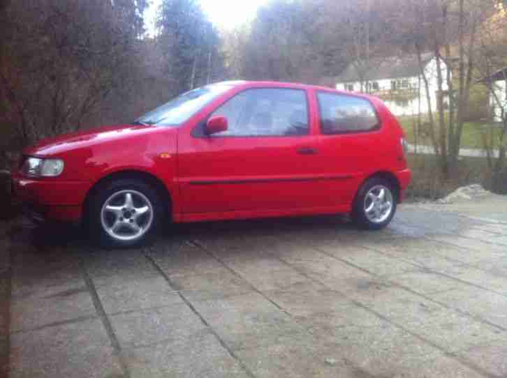 polo 6n