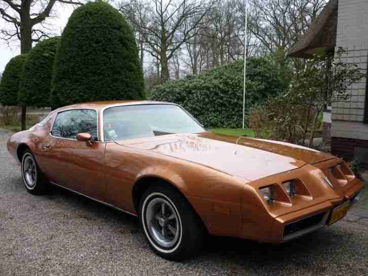 pontiac firebird esprit 4.9 v8, Ez: 6 1979, NL