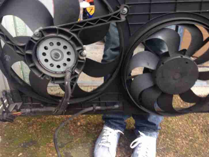 seat Ibiza 6l