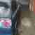 seat Ibiza CUPRA