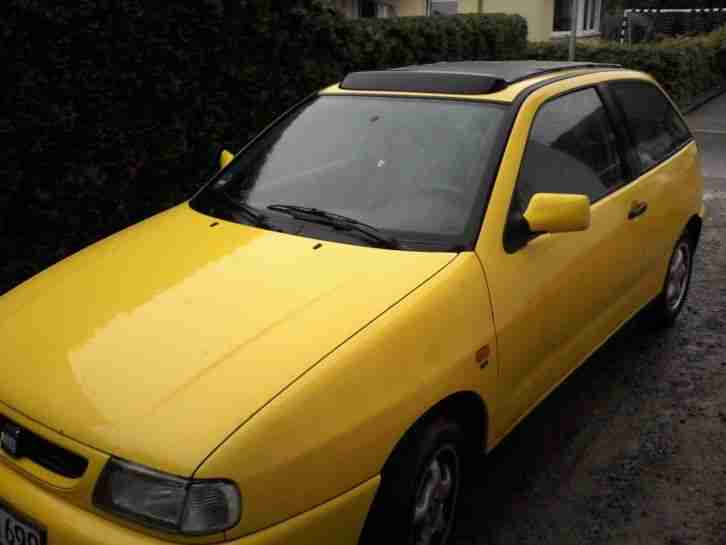 seat ibiza sun