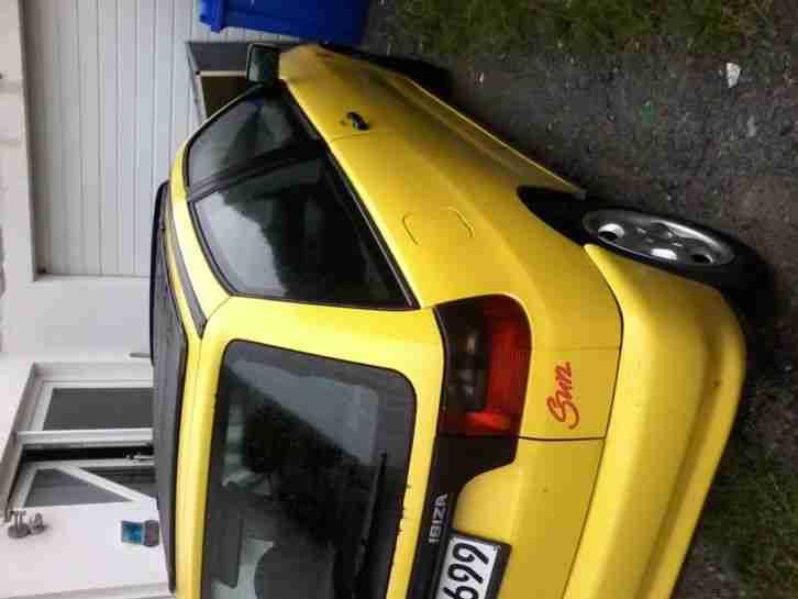 seat ibiza sun