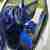 smart Fortwo coupe